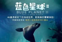 蓝色星球 第二季.2017.4K高码.全7集.英语中字-夸克TV