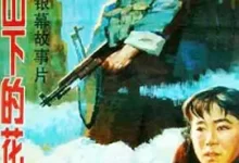 高山下的花环.1984.BD1080p.国语中字【唐国强/倪大红/斯琴高娃】-夸克TV