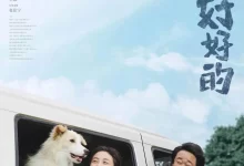 我会好好的.2025.4K高码.国语中字.张子枫 / 王景春-夸克TV