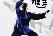 推手.1991.1080P.国语中字-夸克TV