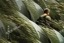 我的美食向导.2023.国语中字4k/2160p.全8集-夸克TV