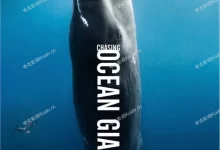 追踪海洋巨兽.2021.HD1080P.英语中字.全8集-夸克TV