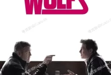 双狼.2024.4K高码.英语中字-夸克TV