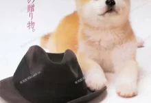 忠犬八公物语.1987.BD1080P.日语中字-夸克TV