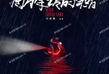 南方车站的聚会.2019.蓝光1080P.国语中字【胡歌 / 桂纶镁 / 廖凡 / 万茜】-夸克TV