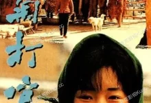 秋菊打官司.1992.BD1080P.国语中字【巩俐/刘佩琦】-夸克TV