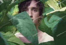 幸福的拉扎罗 (2018) BD1080P.中英双字-夸克TV