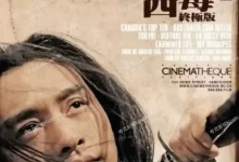 东邪西毒:终极版 (2008) 蓝光1080P.国粤双语中字【梁朝伟/张学友/张国荣】-夸克TV