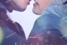 初恋 First Love 初恋 (2022) 1080P.日语中字.全9集-夸克TV