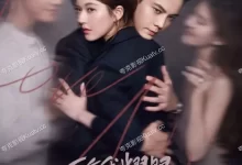 许我耀眼 (2025) 4K高码.国语中字【赵露思/陈伟霆】-夸克TV