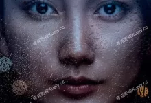 黑箱日记 (2024) 蓝光1080P.日语中字-夸克TV