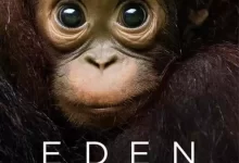 伊甸园：最后的秘境.2021.4K英语中字.全6集[纪录片]-夸克TV