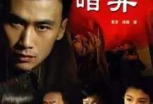 暗算.2006.4K.国语中字.全34集.柳云龙-夸克TV